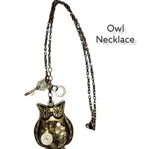 Long Chain Owl Pendant Necklace #N39